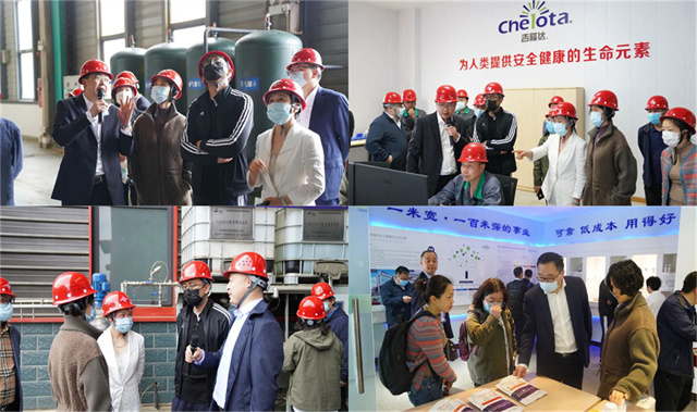 ͨ���ɷݴ����ι�pp����ģ���������л�΢��Ԫ�ع���