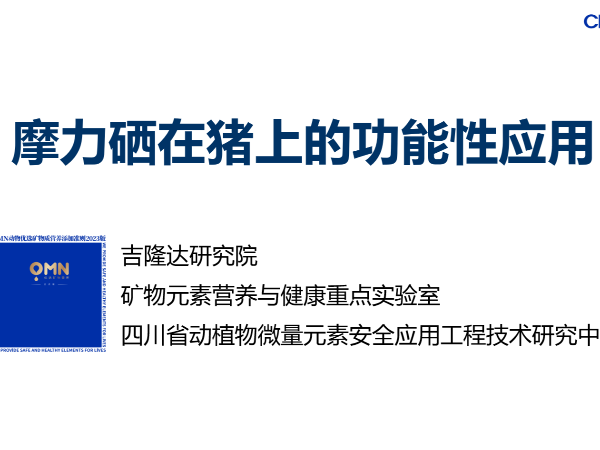 Ħ���������ϵĹ�����Ӧ��