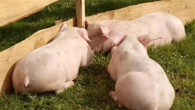 �й������г���ȴ��ܽ�