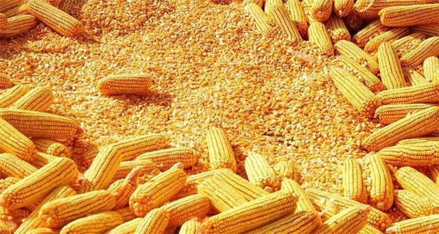 �й������г���ȴ��ܽ�