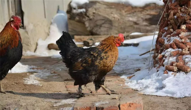 �й������г���ȴ��ܽ�