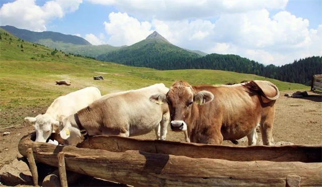 �й������г���ȴ��ܽ�