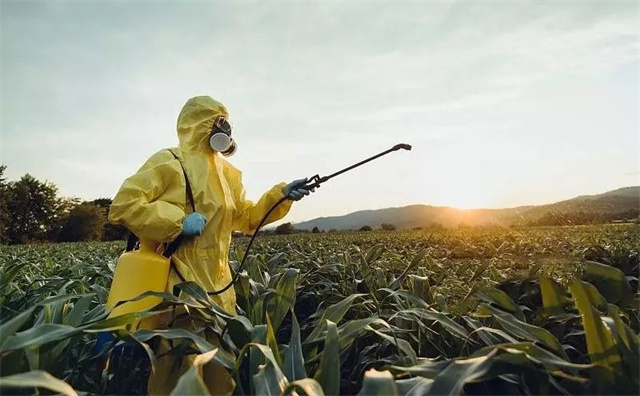 ������ҵ�˴����