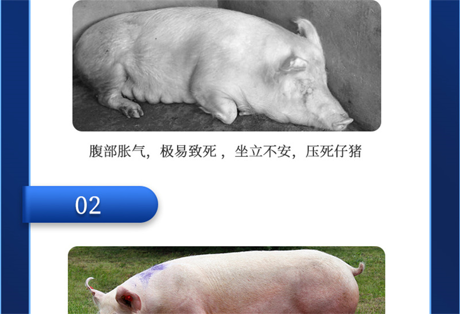 pp����ģ���������������������Ӽ�ĸ��ͨ��Ʒ����