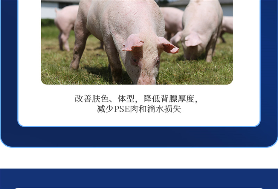 pp����ģ���������������������Ӽ�ĸ��ͨ��Ʒ����