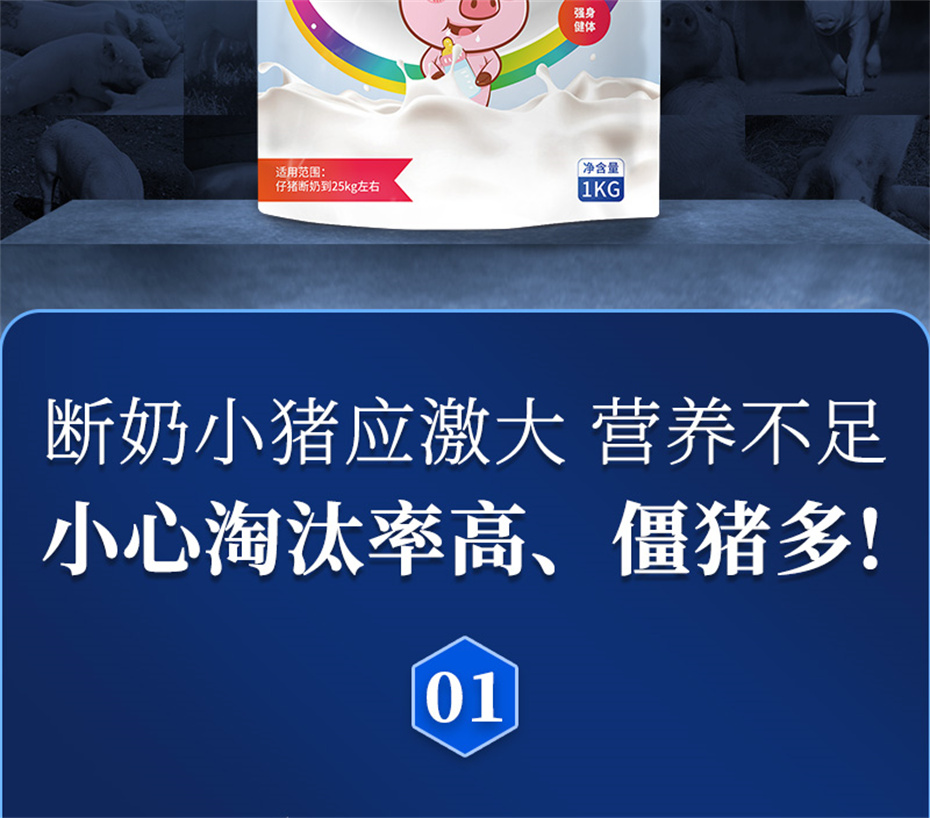 pp����ģ���������������������Ӽ�������������Ʒ����