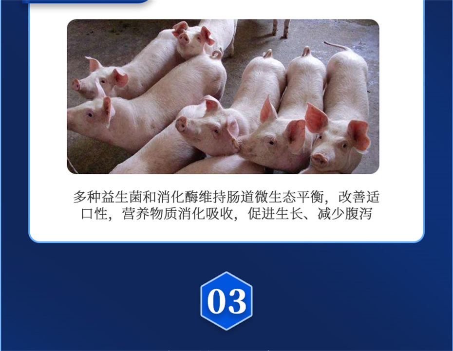 pp����ģ���������������������Ӽ�������������Ʒ����