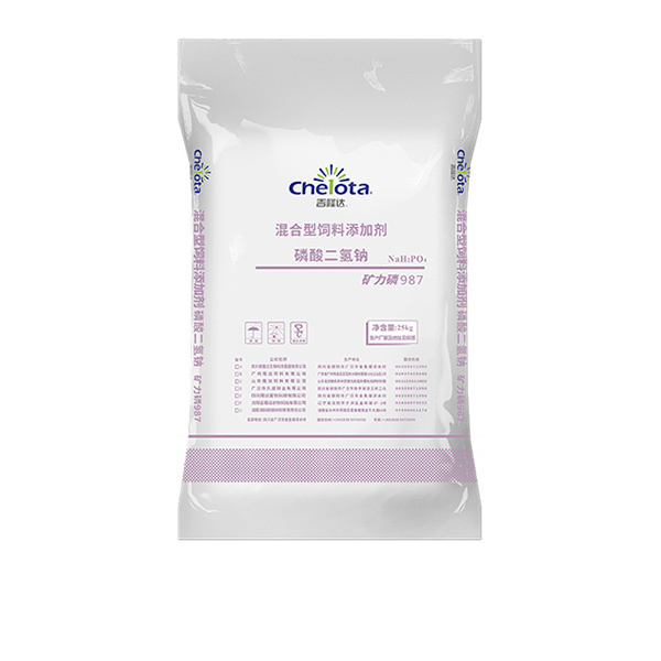 ���������-pp����ģ��������