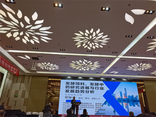 ������̳�ֳ���Ƭ