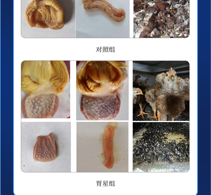 θ����������ҳ_03