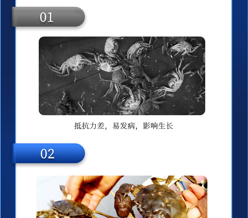 �ѱ�������_05