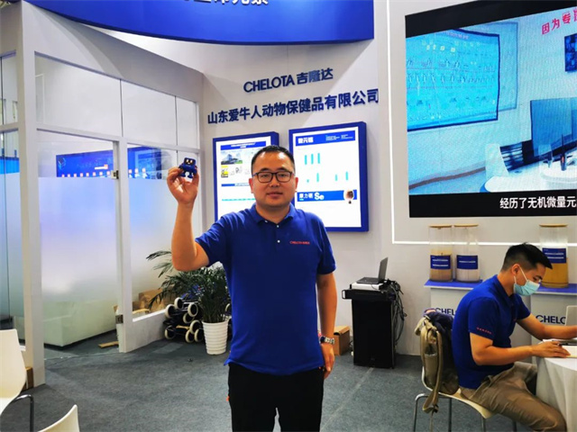 pp����ģ������������IP���󡰴󼪡�