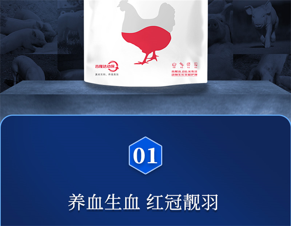 pp����ģ���������������������Ӽ�����Ѫ�ݲ�Ʒ����