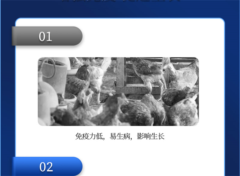 pp����ģ���������������������Ӽ�����Ѫ�ݲ�Ʒ����