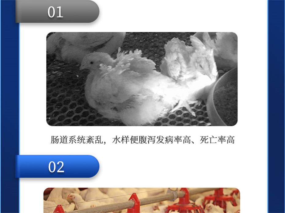 pp����ģ���������������������Ӽ����ﱦ��Ʒ����