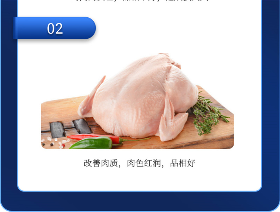 pp����ģ���������������������Ӽ����ﱦ��Ʒ����