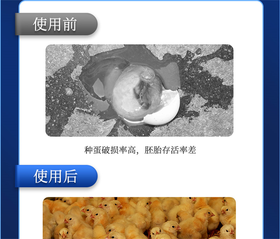 pp����ģ���������������������Ӽ���������Ʒ����