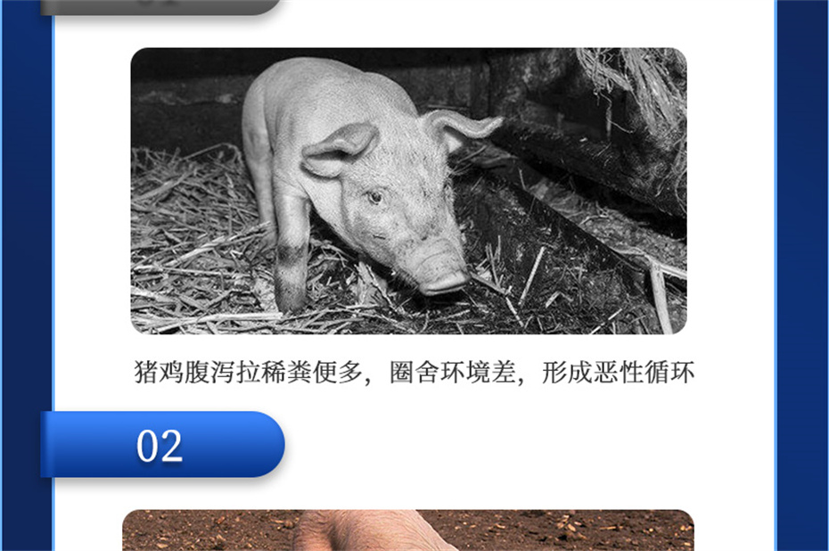 pp����ģ���������������������Ӽ��������Ʒ����