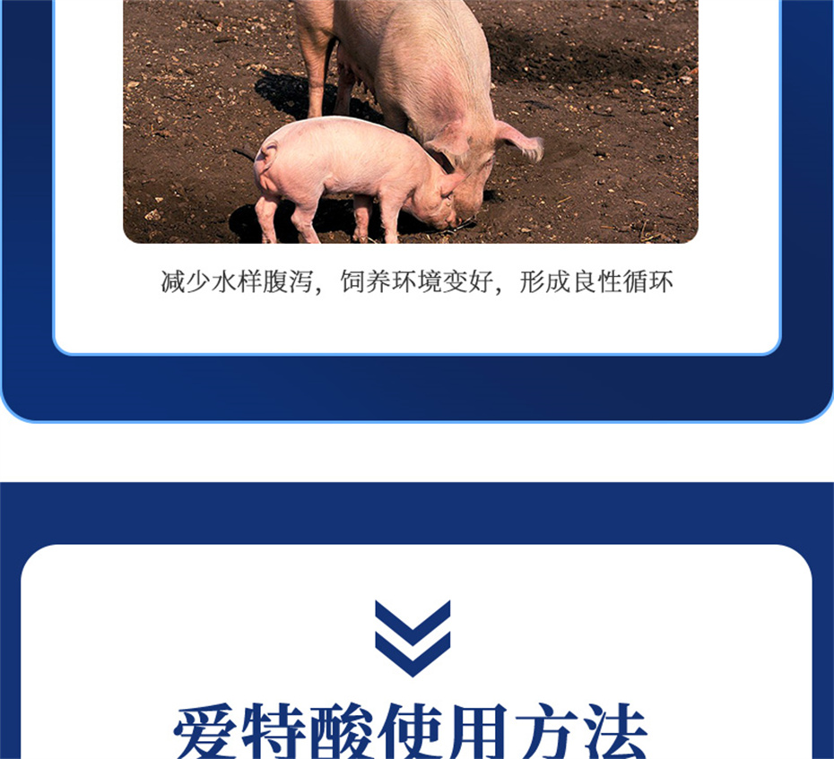 pp����ģ���������������������Ӽ��������Ʒ����