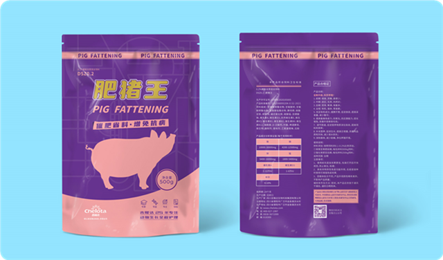 pp����ģ��������������