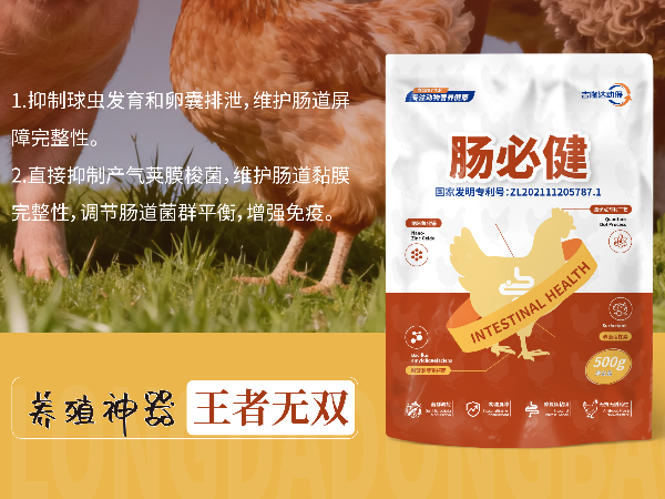 300g-1kg��Ͷ���������Ļر��������ؽ����ۺ�Ч�����