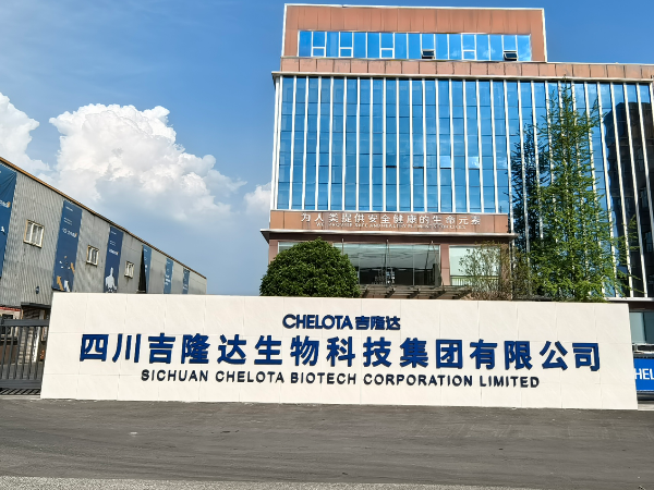 �����������桪��pp����ģ����������ҵ�Ļ����