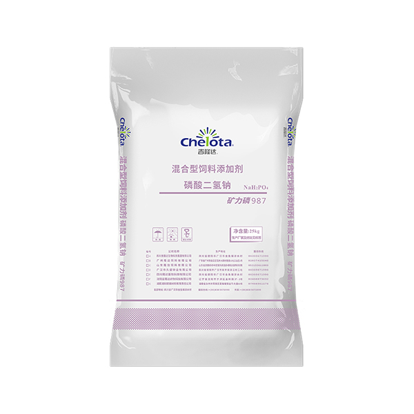 ���������-pp����ģ��������