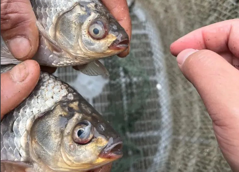 Խ������ο��ٸ�����Ϻ����������