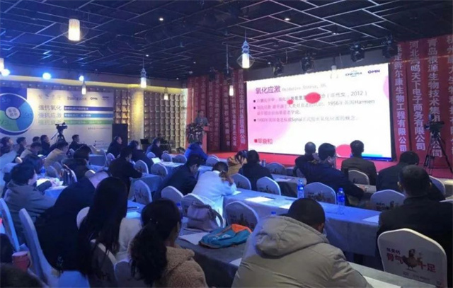 �ӱ������԰������Ϸ�չ���