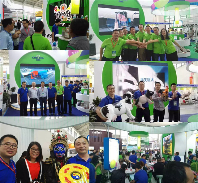 pp����ģ����������չ�й�����������