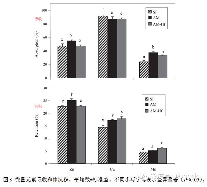 �������Ӽ�