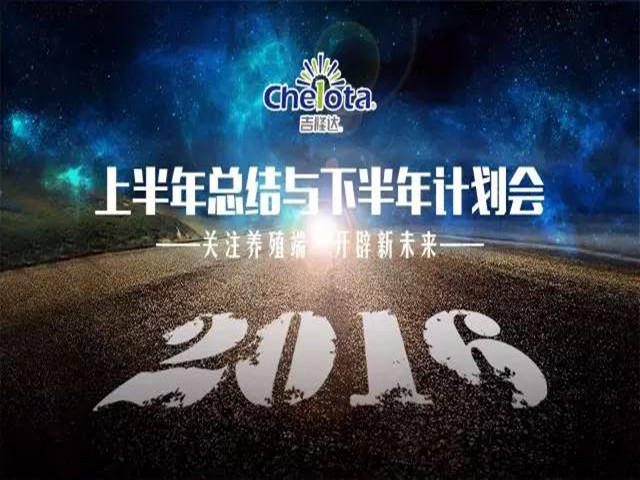 pp����ģ������������