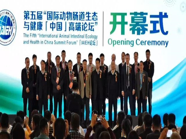 ������̳ح��Լ������������ҵս��ת��