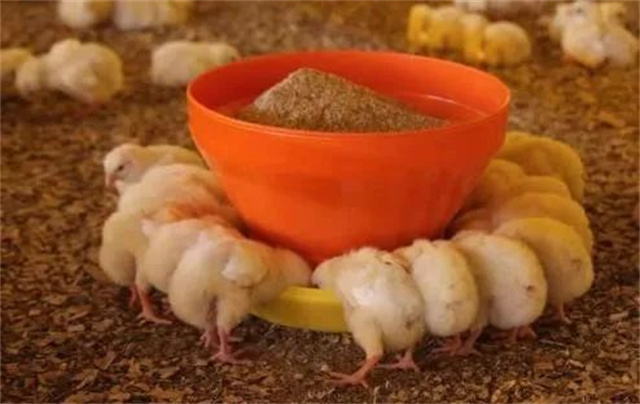 ������Ӧ��������