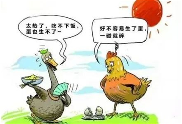 ������Ӧ��������