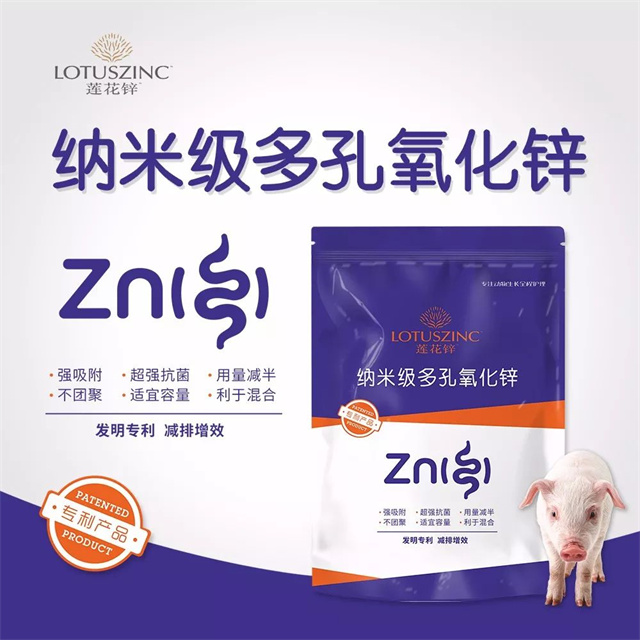 ����п-pp����ģ������������п