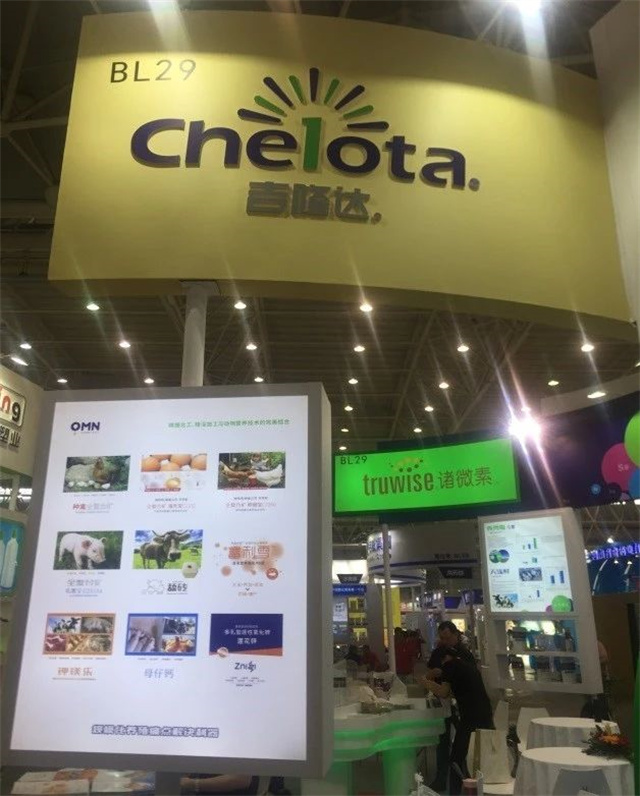 �󲩻�pp����ģ��������չ��