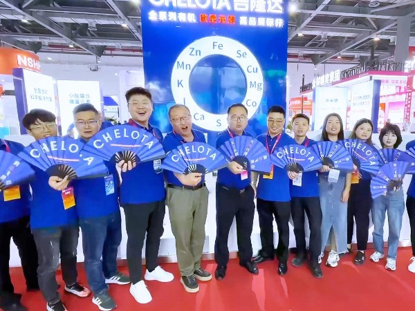 pp����ģ�������������ϲ��󲩻��ֳ�