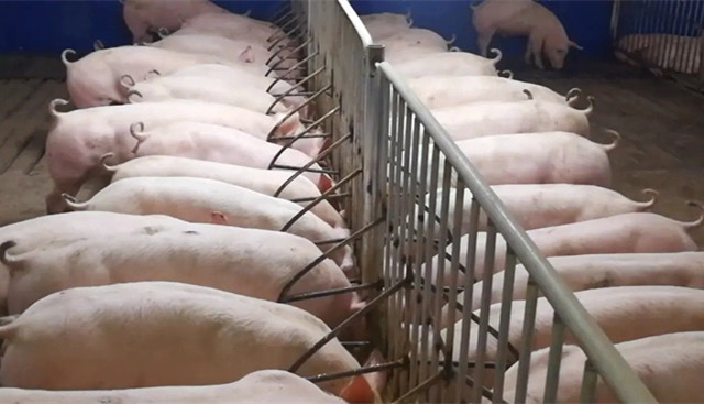 2022��ǰ����������������