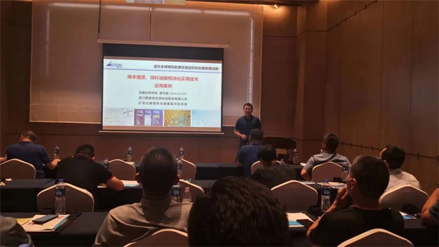 pp����ģ��������̽����΢���ؼ���������