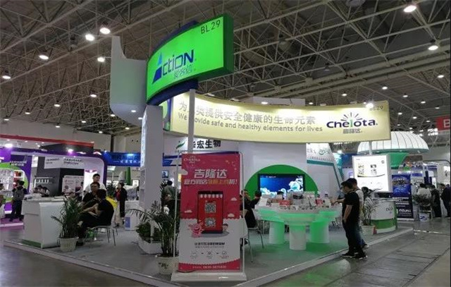 �Ĵ�pp����ģ������������չ��