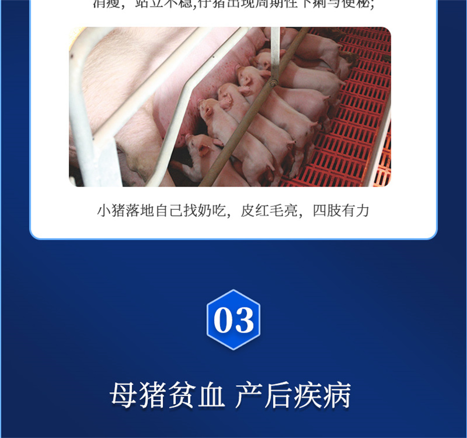 pp����ģ���������������������Ӽ�����Ѫ��Ʒ����