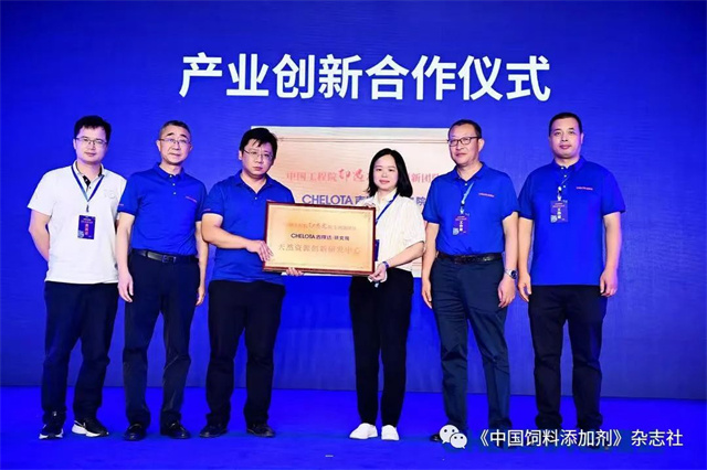 pp����ģ���������о�Ժ������ʽ