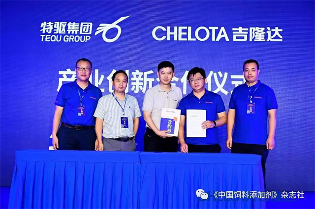 pp����ģ���������о�Ժ������ʽ