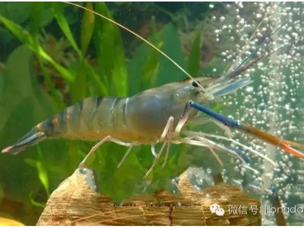 ����п������п�Է��ɱ���Ϻ����������Ӧ���Ӱ��