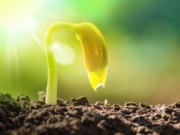 ����pp����ģ����������ҵ��������ˮ������