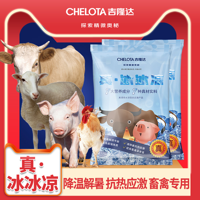 pp����ģ������������������