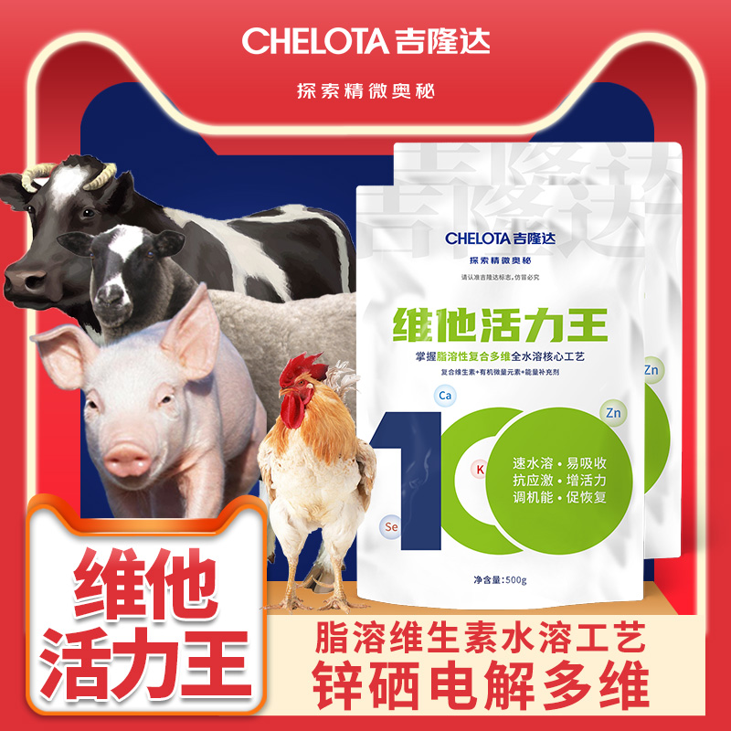 pp����ģ������������ά��������