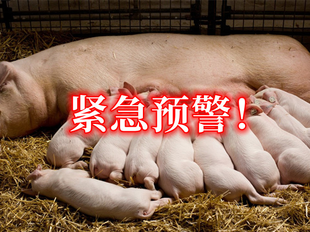 ������ů��ʩ