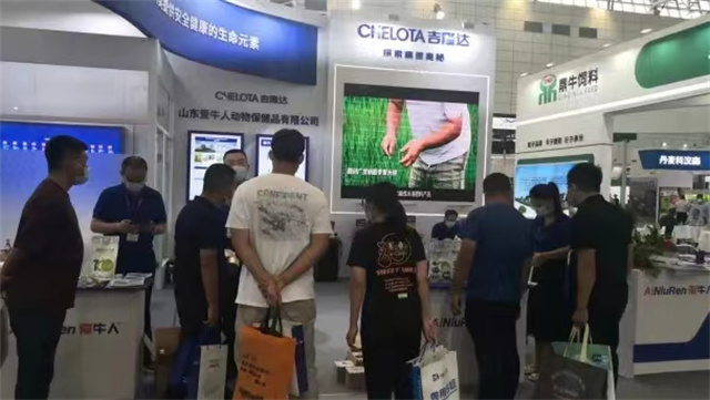 pp����ģ����������չ��ʮ�����й���ҵ���